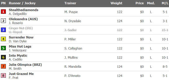 2020 Gamely Stakes Odds