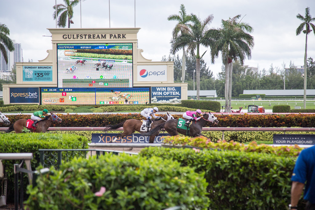 gulfstreamparkpicks