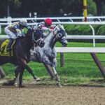Horse Picks https://commons.wikimedia.org/wiki/File:Close_horse_race_(Unsplash).jpg