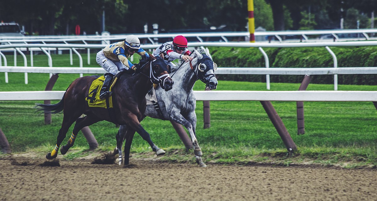 Horse Racing Picks on Monday – PARX Racing & Santa Anita Park! W/P/S ALL 19 Races and 6 BEST BETS.